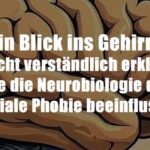 Neurobiologie soziale Phobie