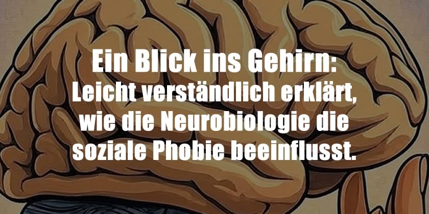 Neurobiologie soziale Phobie